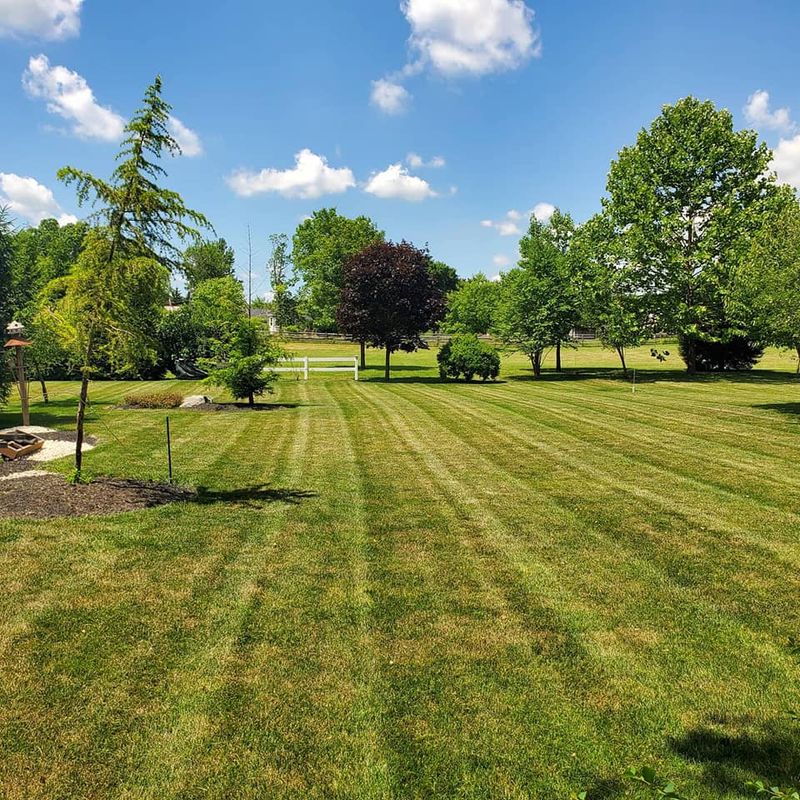 Lawn Care