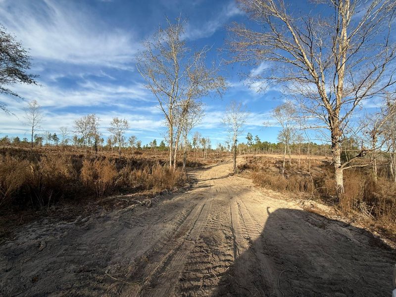Land Clearing & Demolition