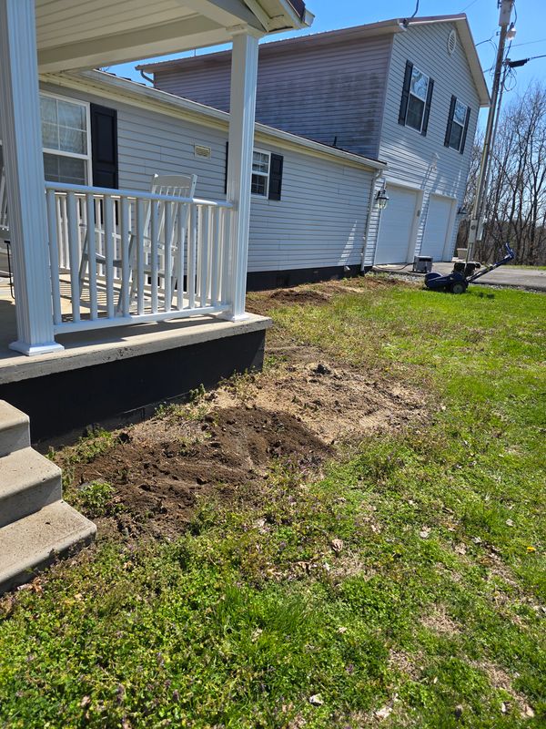 Stump grinding or removal