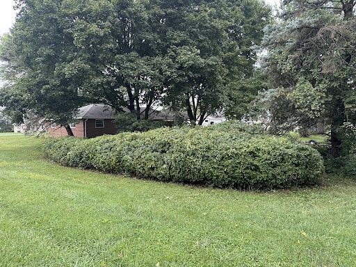 Lawn Mowing