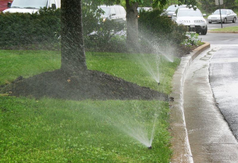 Irrigation System Design & Install