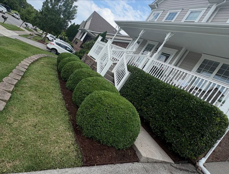 Lawn Maintenance