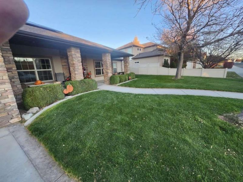 Lawn Maintenance