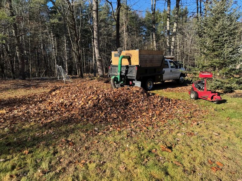 Fall and Spring Clean Up