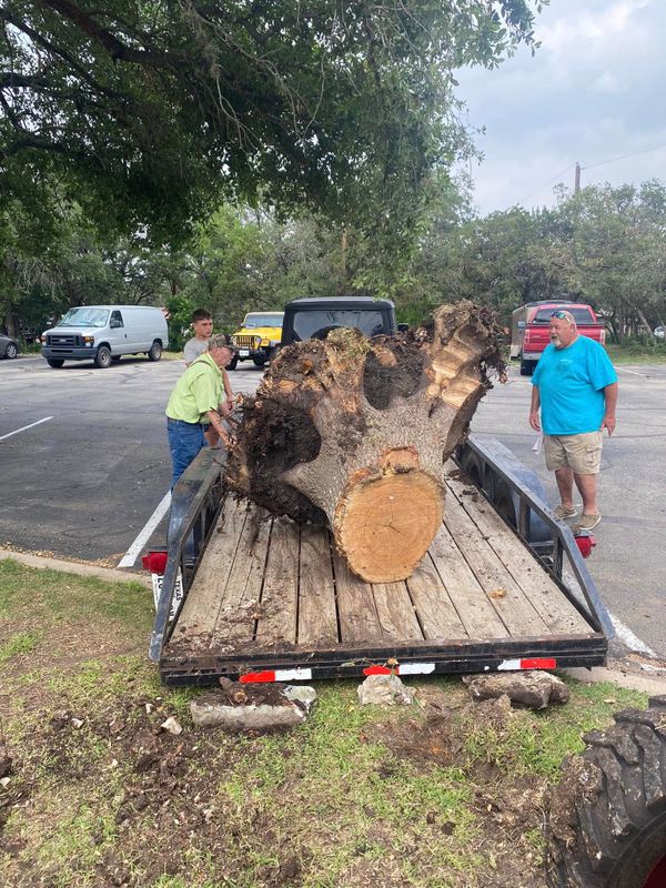 Stump Grinding gallery