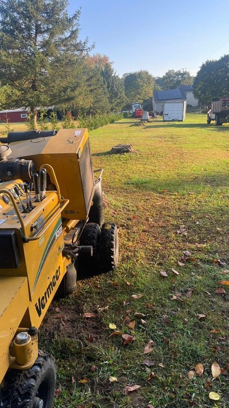 Stump Removal