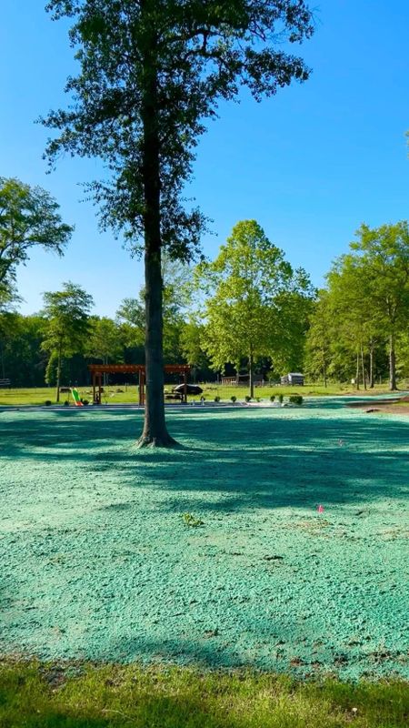 Hydroseeding gallery