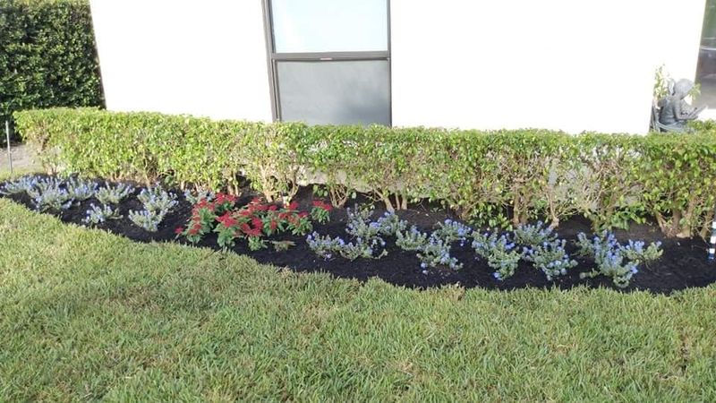Mulch Installation