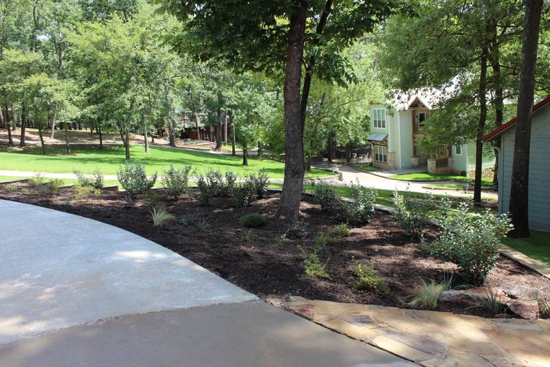 Landscape Design & Installation