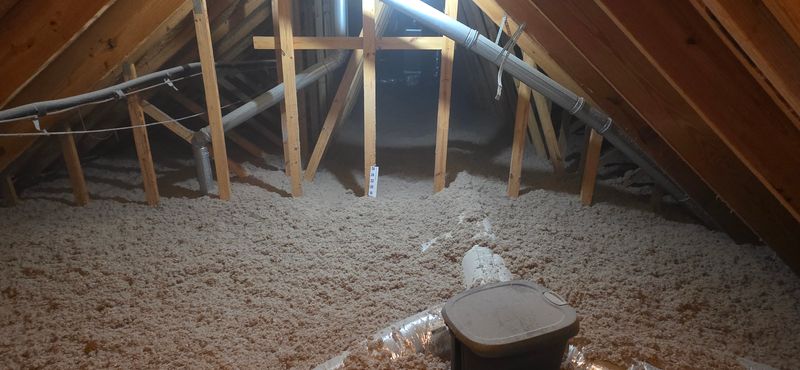 Eco-Friendly Insulation Options