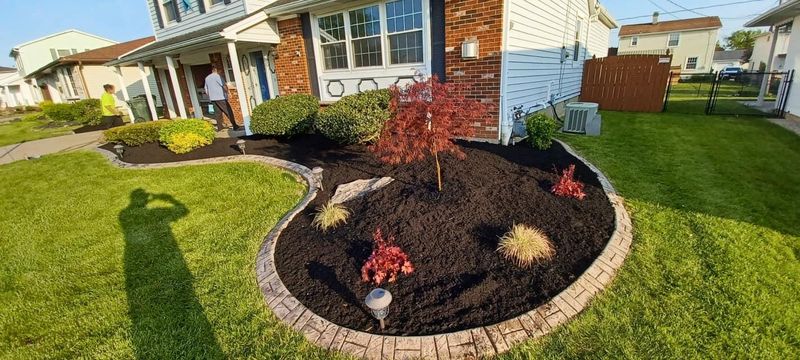 Shrub & Plant Installation Photos