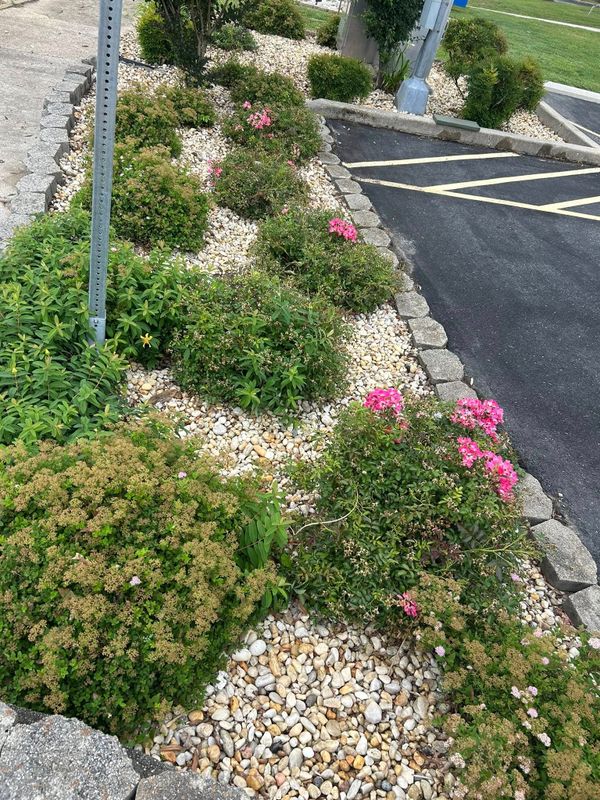 Mulch Installation