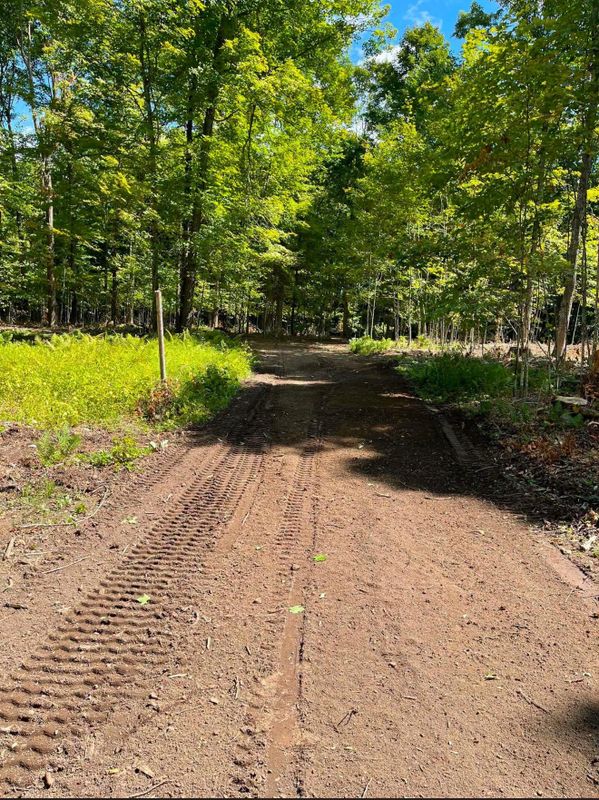 Land Clearing & Forestry Mulching
