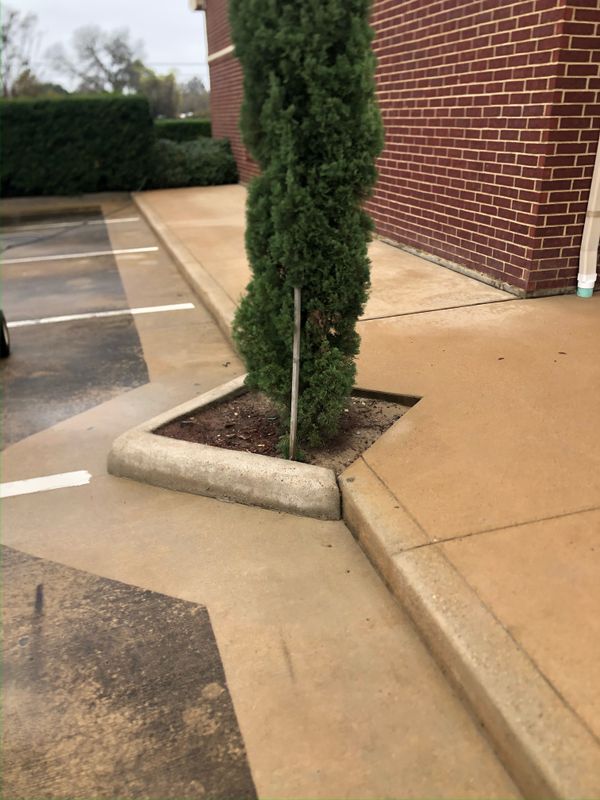 Parking Lot Cleaning