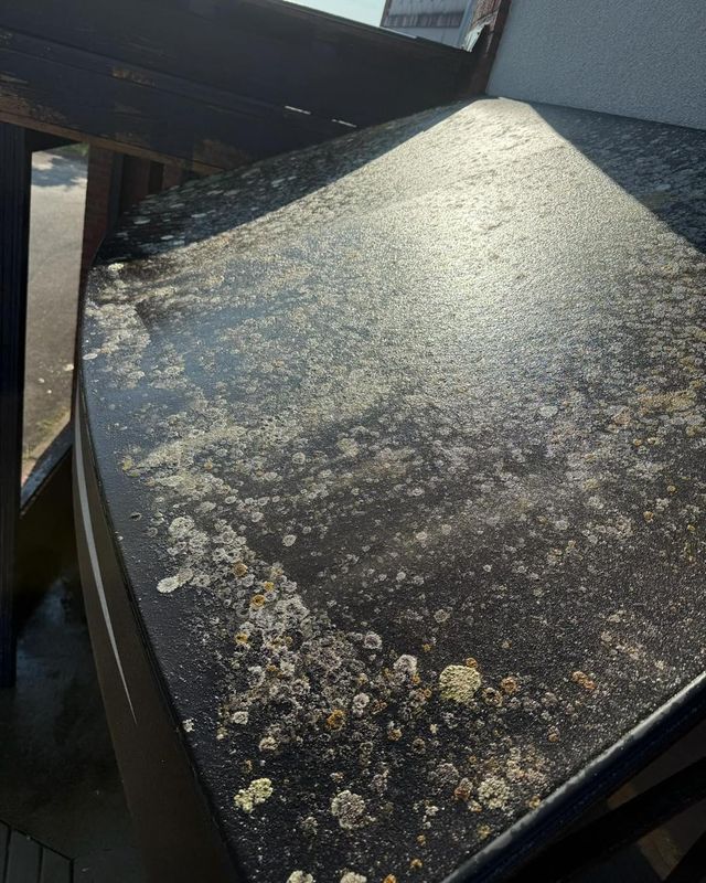 Gutter Cleaning