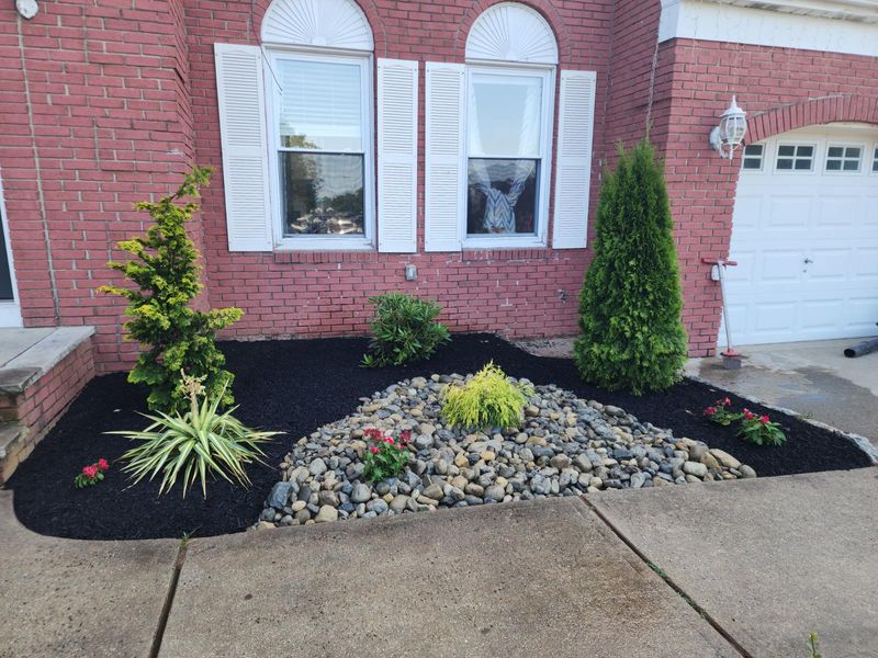 Transforming Curb Appeal with Stunning Landscape Design