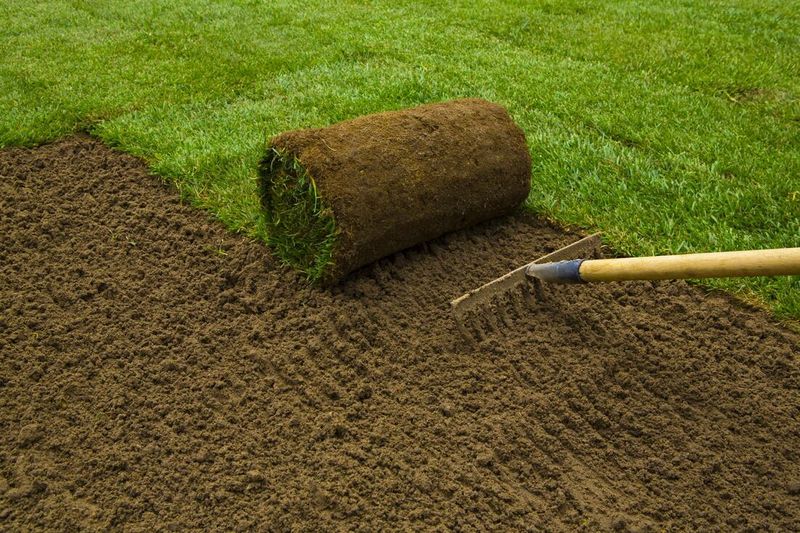 Sod Installation