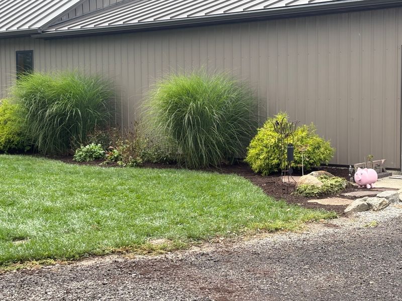 Garden Design and Installation