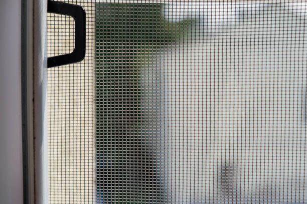 Window Screens