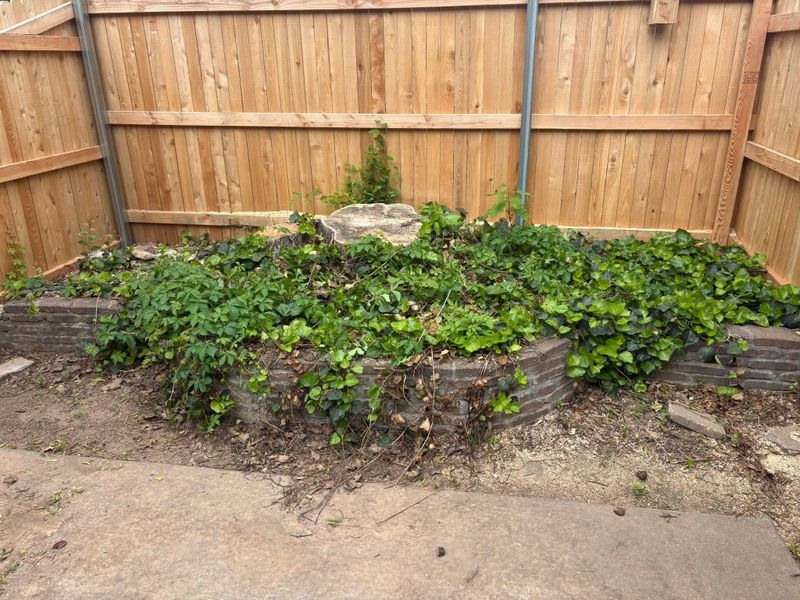 Mulch Installation