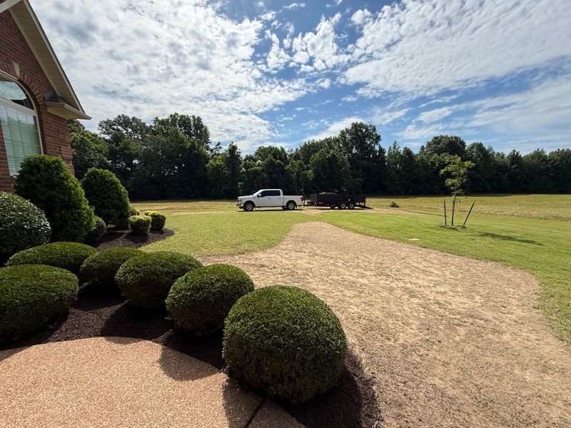Lawn Maintenance