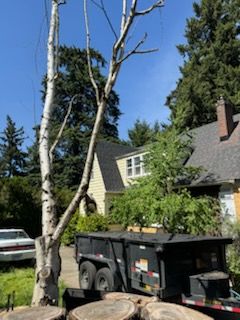 Roof Replacement