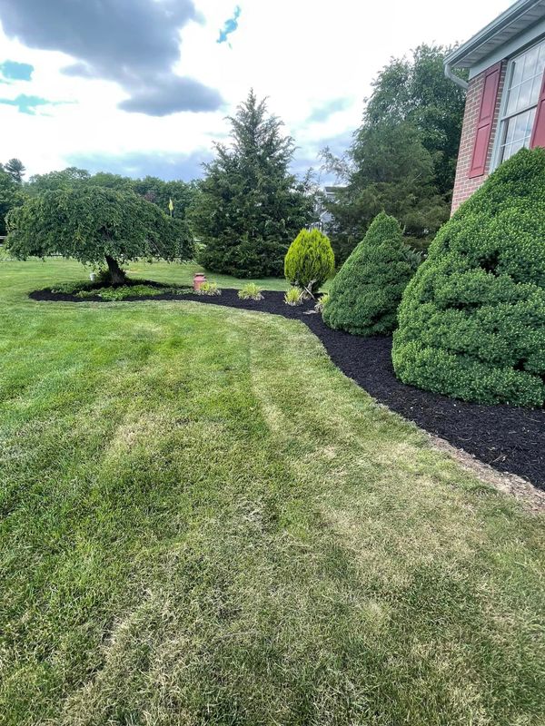 Shrub Trimming