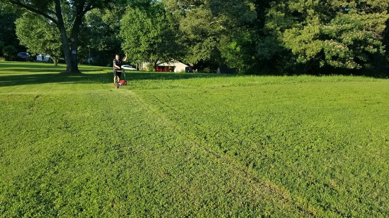 Mowing