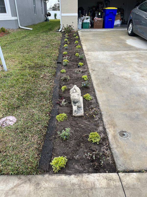 Landscape design and installation