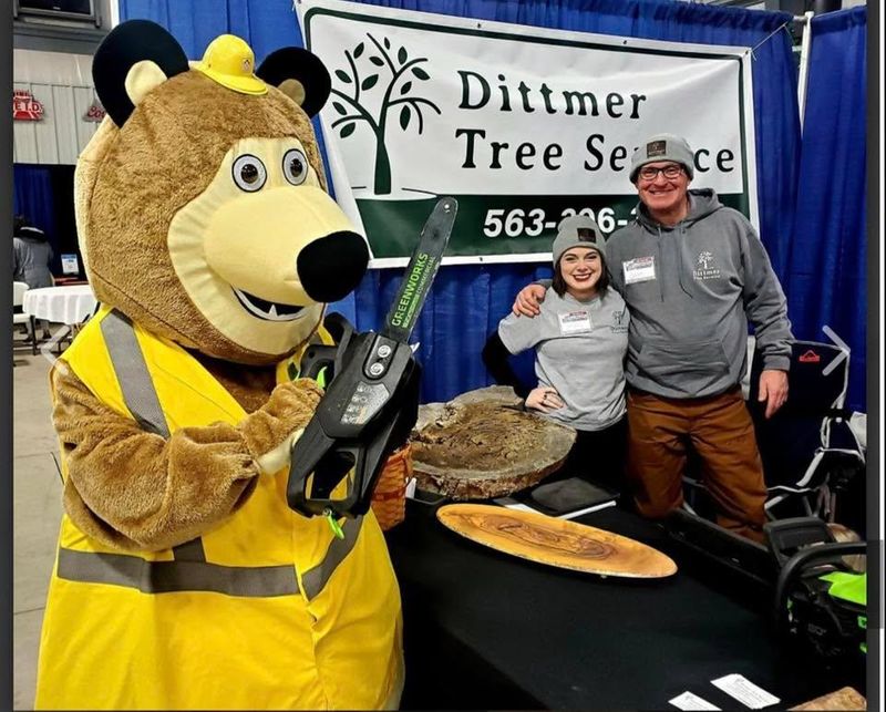Tree Removal