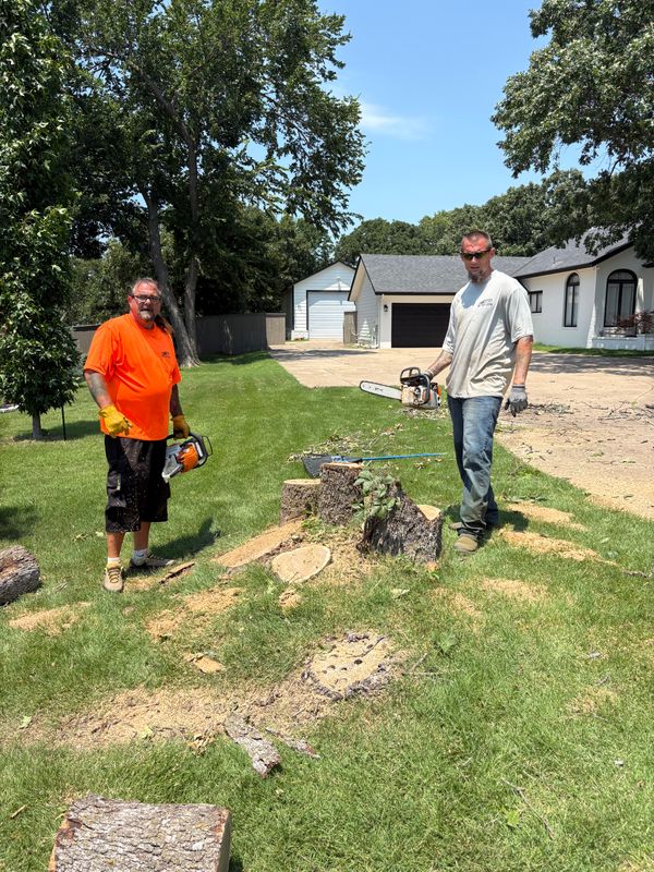 Tree Trimming