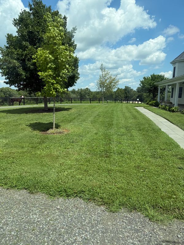 Lawn Maintenance