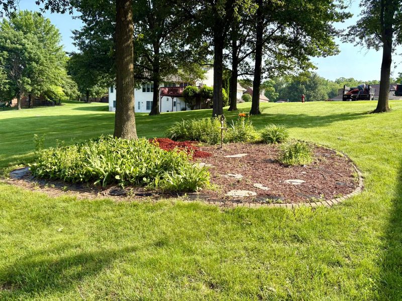 Yard Work and Landscaping