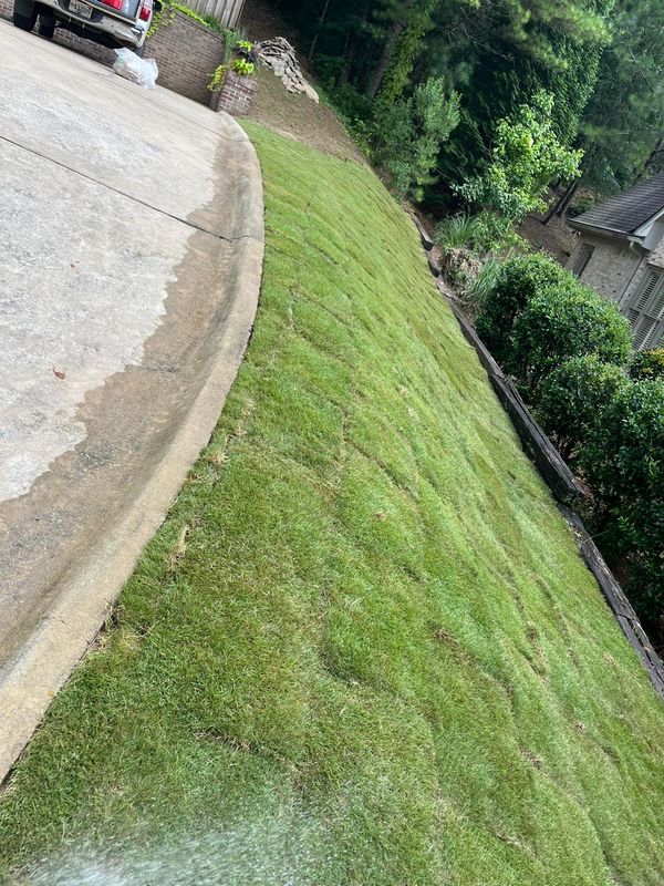 Landscape Design