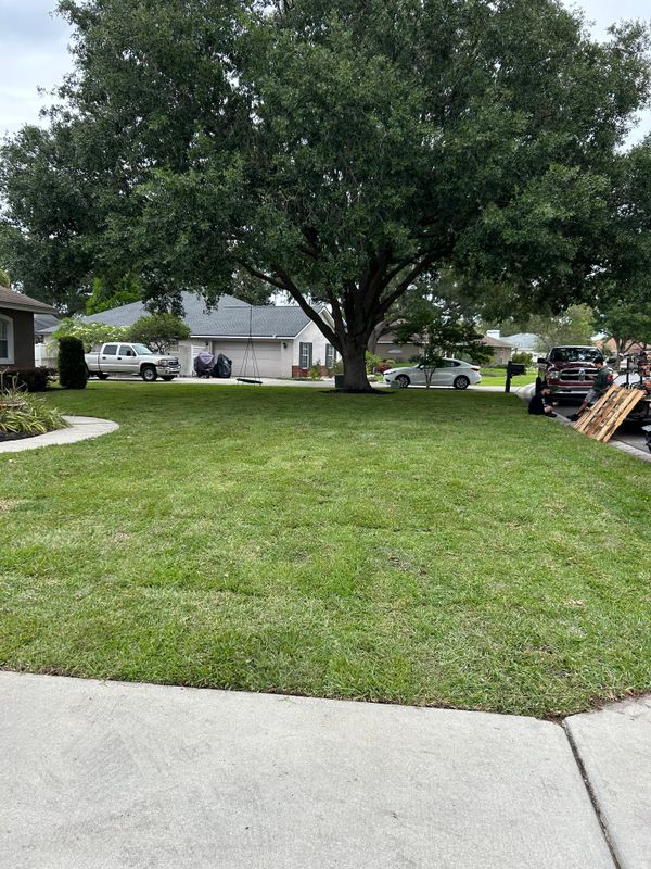 Lawn Care