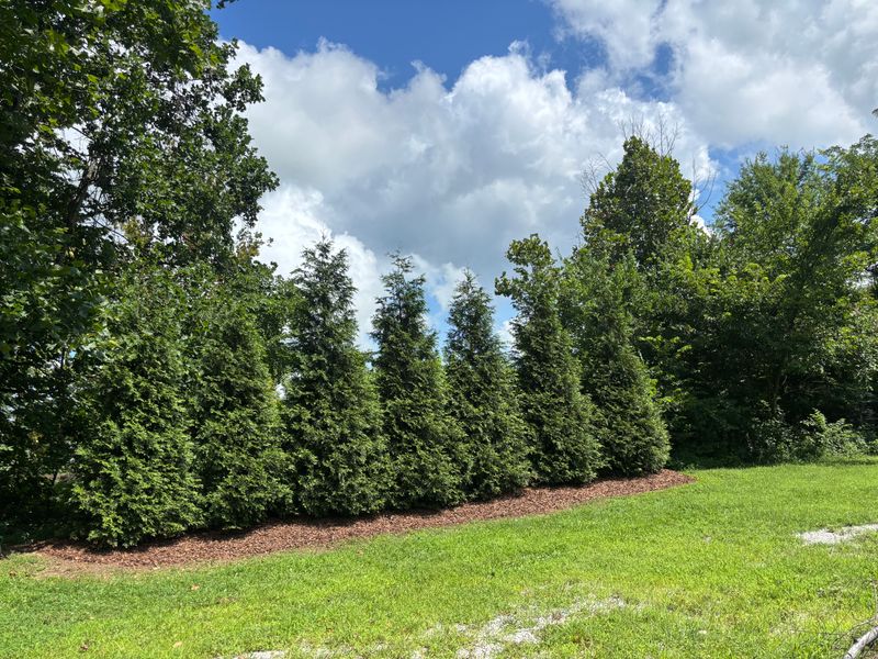 Privacy Trees