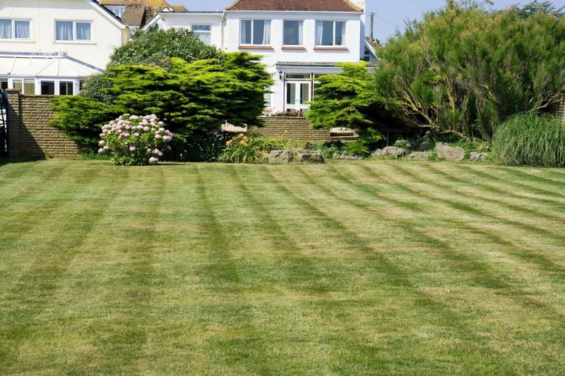 Lawn Maintenance