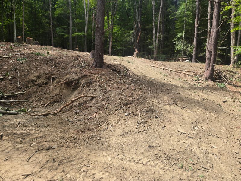 Land Clearing