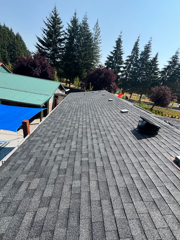 Transform Your Roof with Elite Cleaning Co.'s Expert Touch