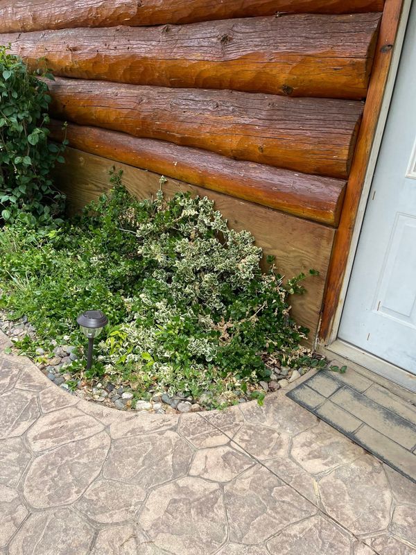 Siding Installation