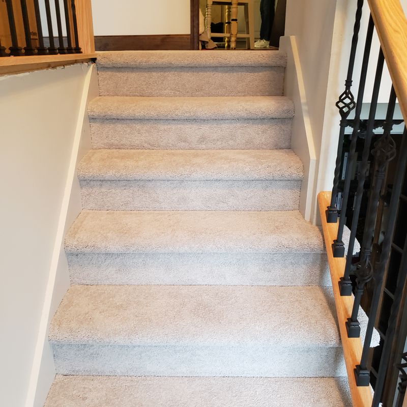 Professional Carpet installation