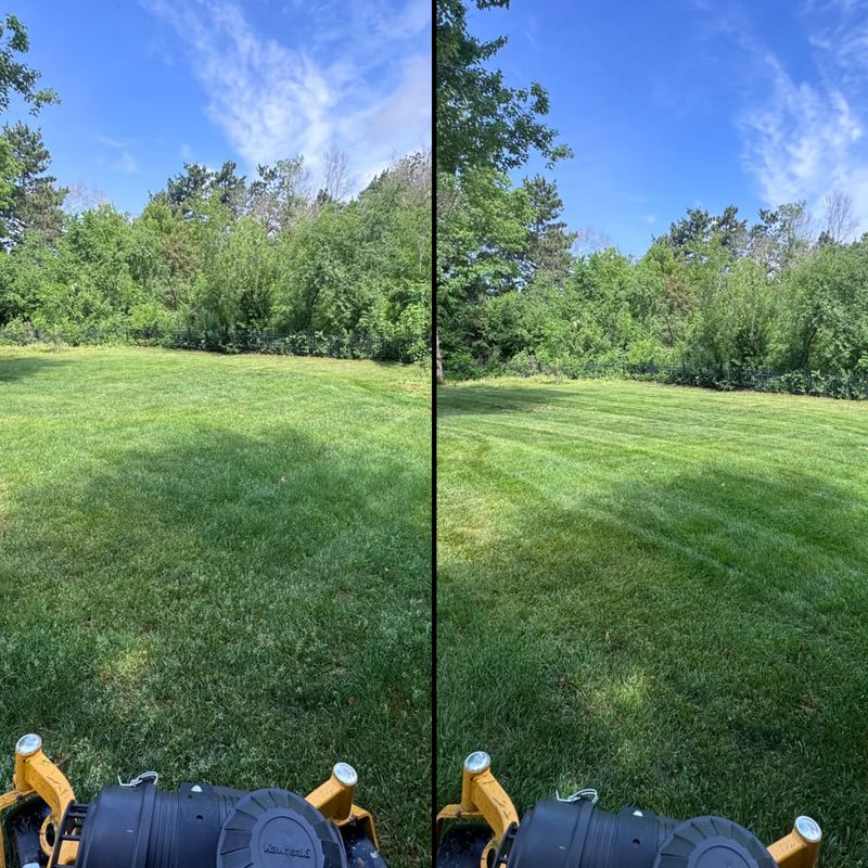 Lawn Maintenance