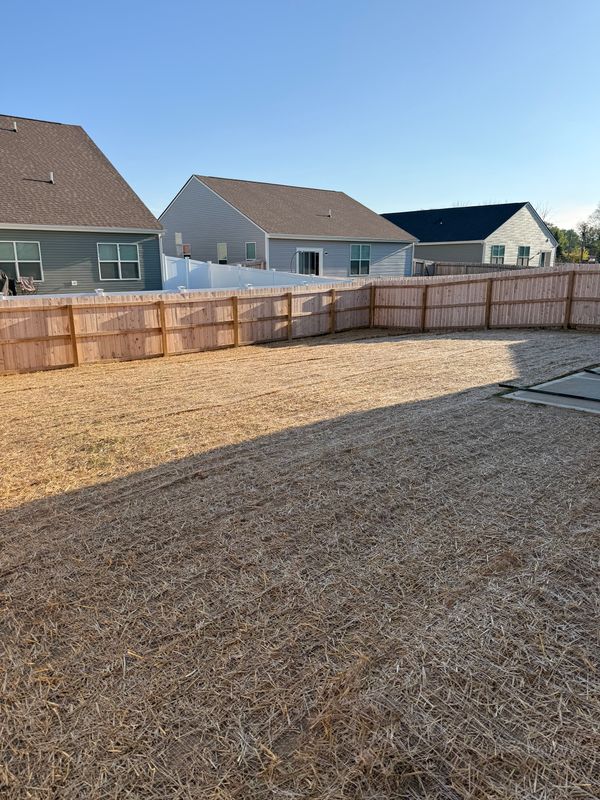 Lawn Seeding & Over-seeding