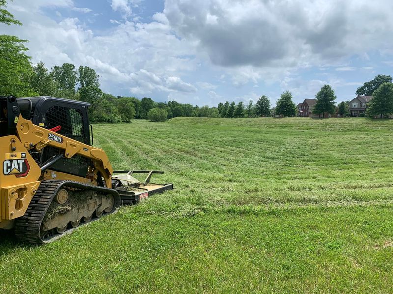 Land Clearing
