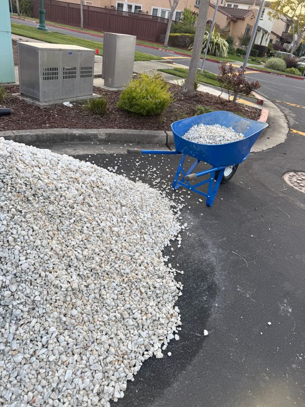 Landscaping