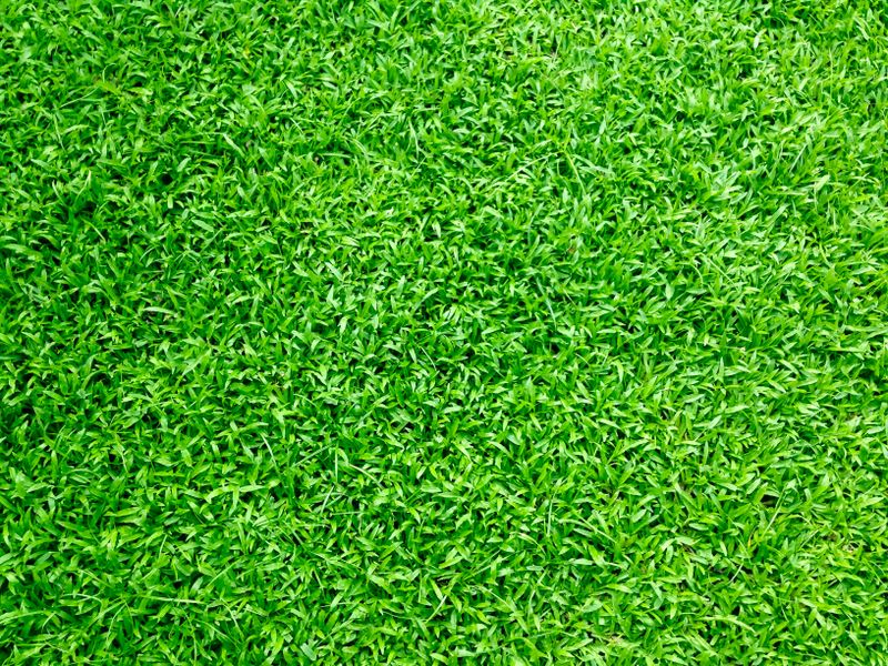 Overseeding