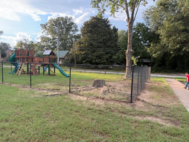 Stump Removal