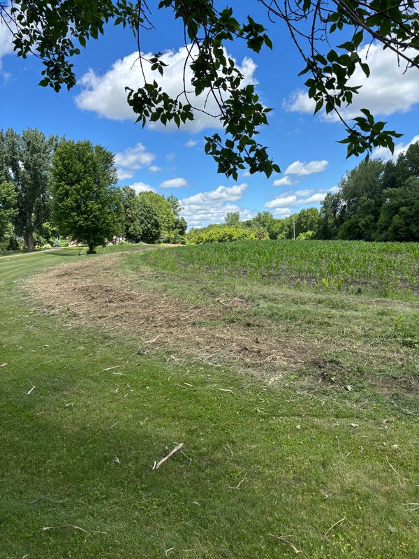 Underbrush Clearing