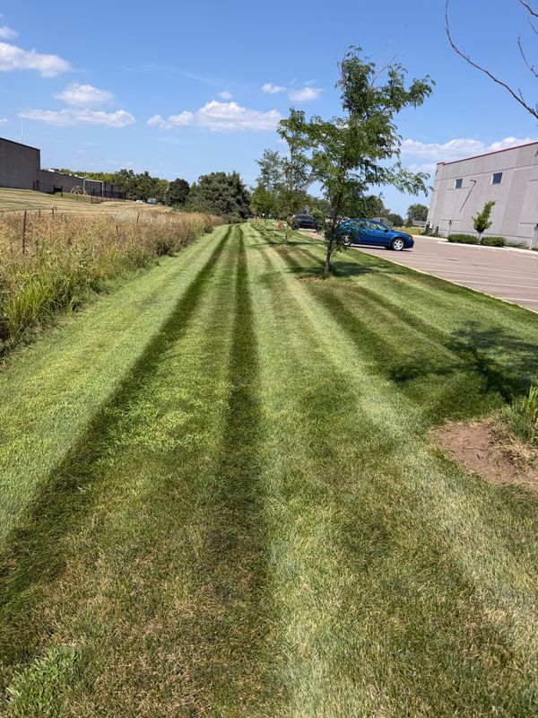 Weekly Lawn Maintenance