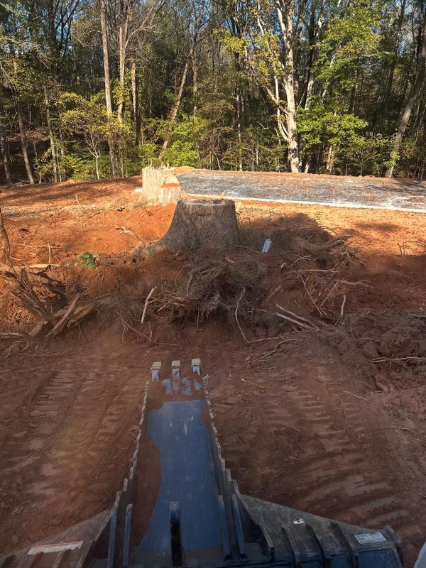 Land Clearing Photos